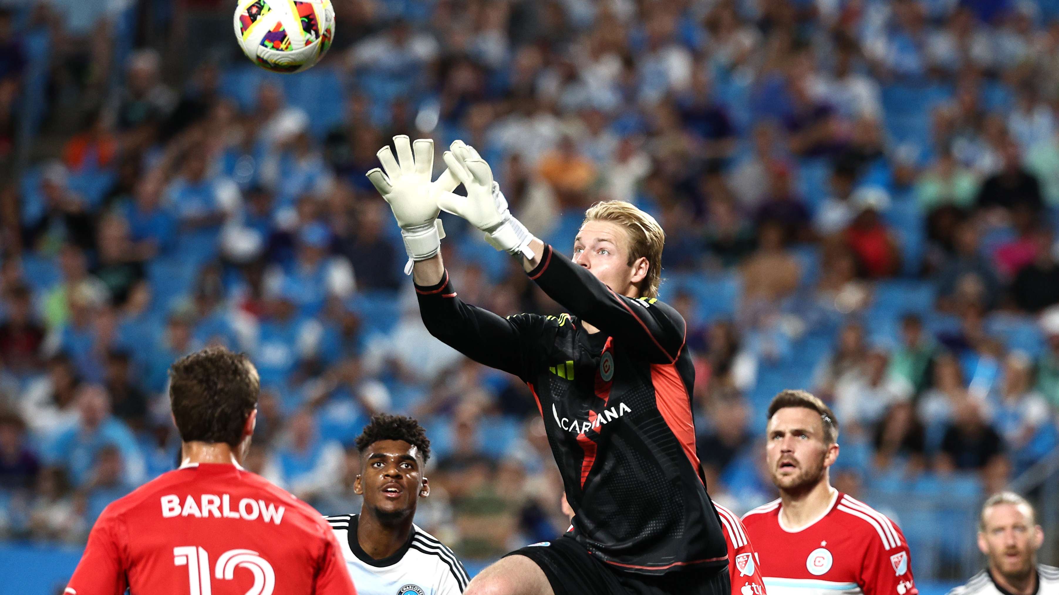 养值得诸多 养值得诸多