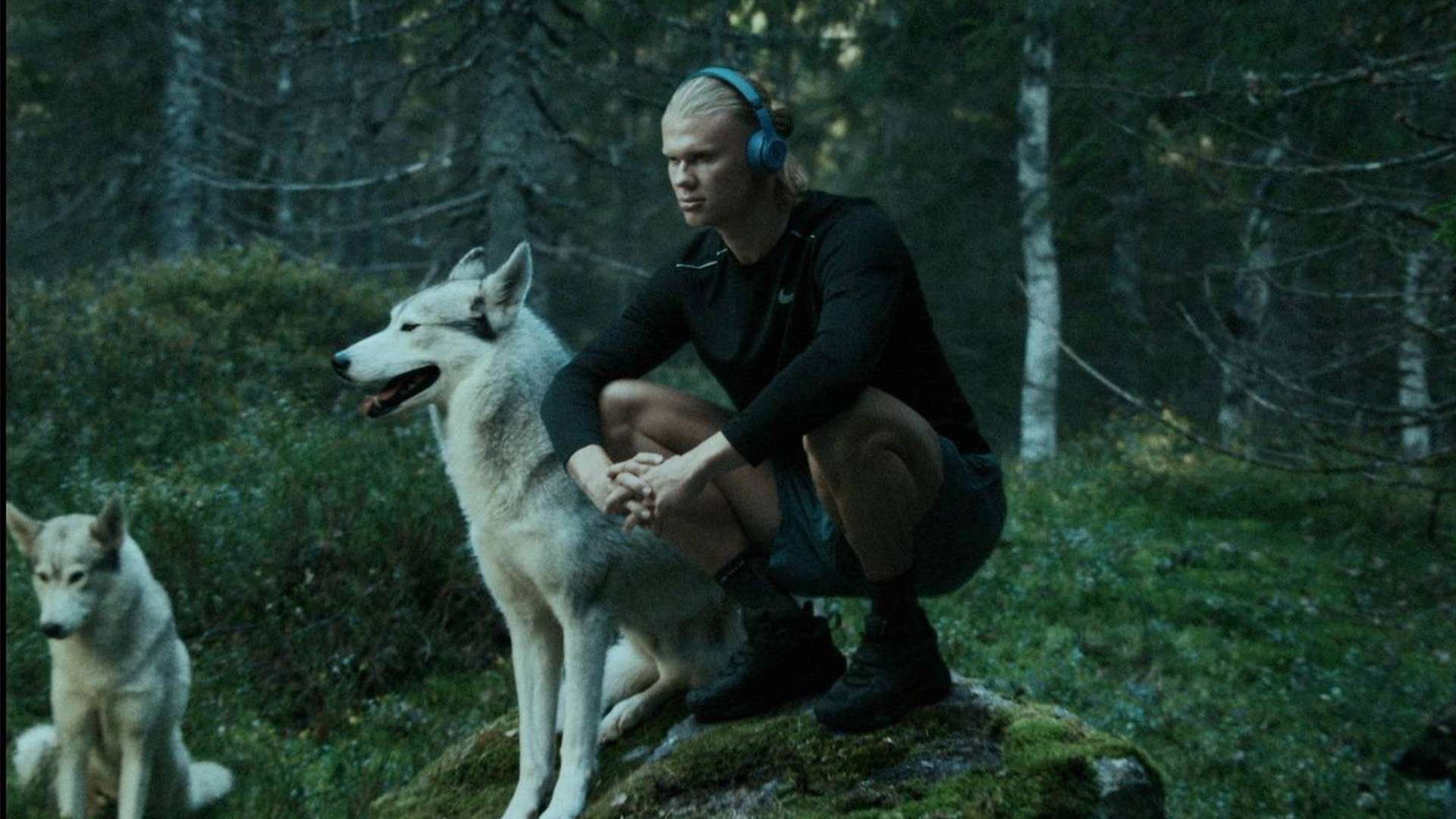 更注重青少 更注重青少