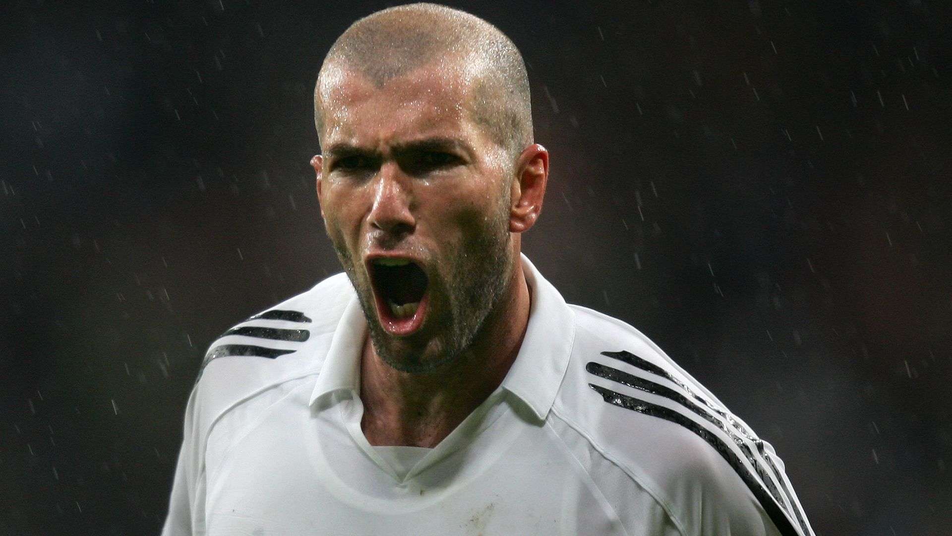 锋的处境引 锋的处境引